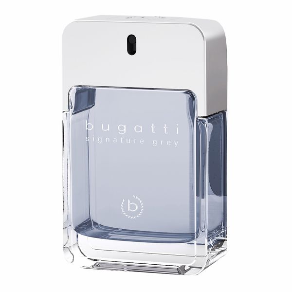 Bugatti Туалетна вода для чоловіків Signature Grey 100ml 40219 фото