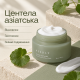 Успокаивающий крем с центеллой Needly Cicachid relief cream, 48 мл