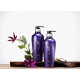 Відновлюючий шампунь Daeng Gi Meo Ri Vitalizing Shampoo 500 мл