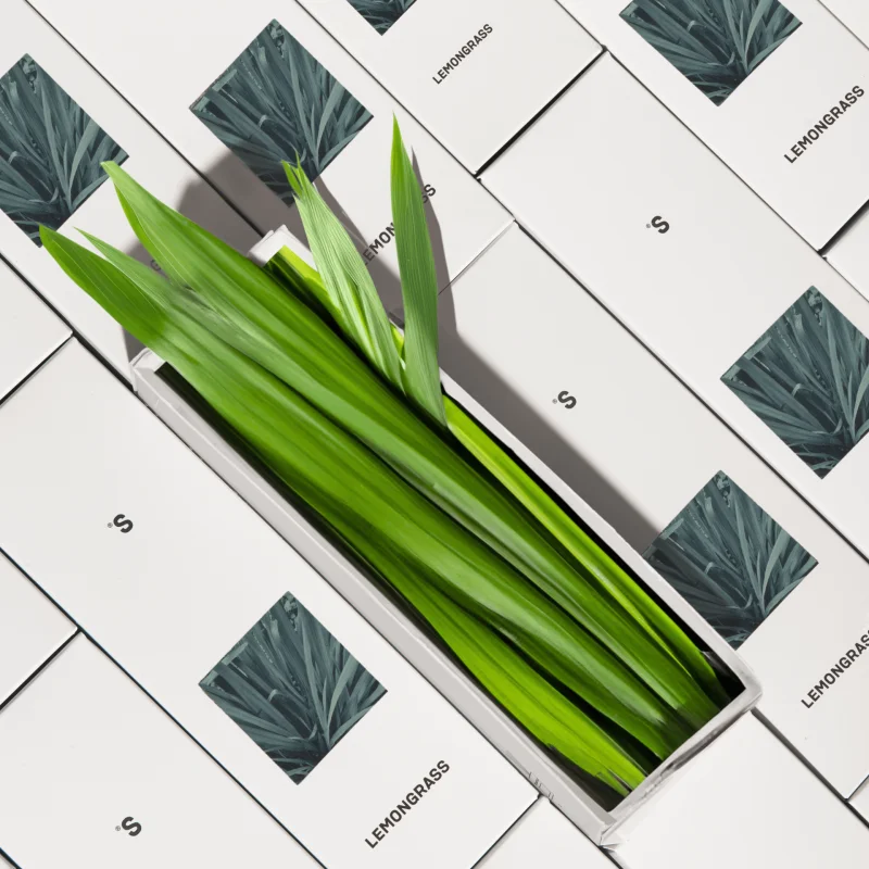 Аромадиффузор Sister's Aroma Лемонграс / Lemongrass